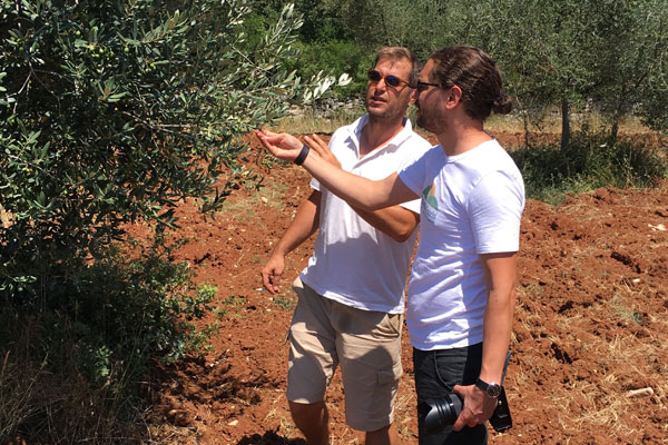 Cadenela – Bio Olivenöl aus Istrien