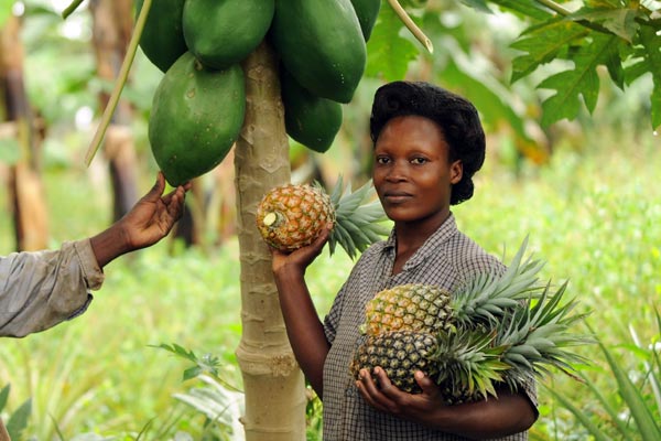 Ananas und Papayas