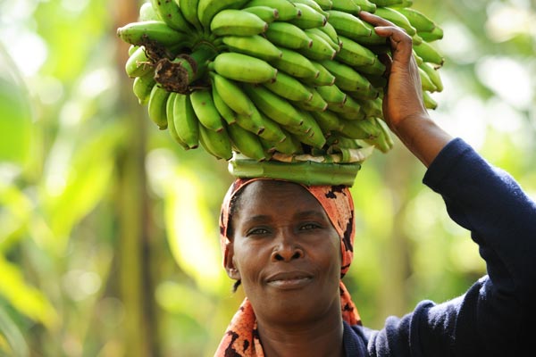 Kipepeo – Fairtrade Trockenfrüchte