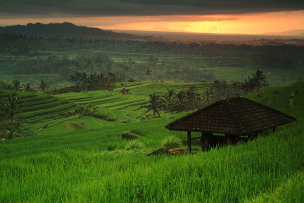 Traumhaftes Bali