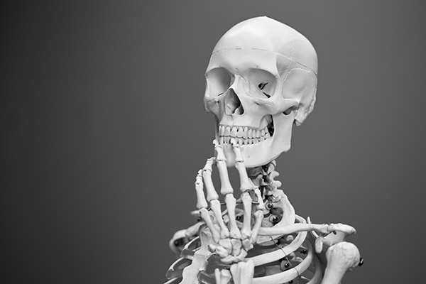 Calcium für Knochen, Zähne und Muskeln Calcium für Knochen, Zähne und Muskeln