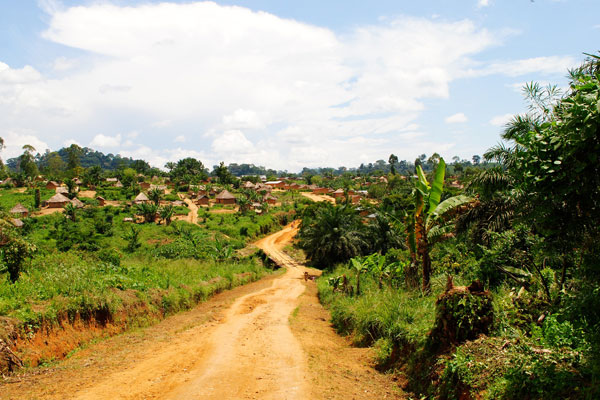 Virunga, Kongo