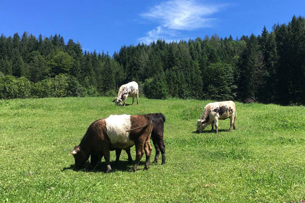 Bio Landwirtschaft