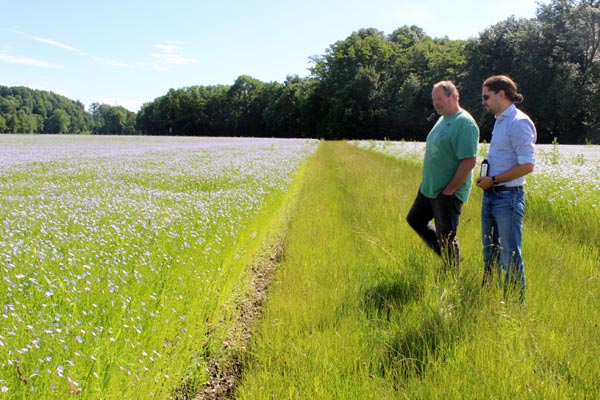 Leinfeld mit Landwirt