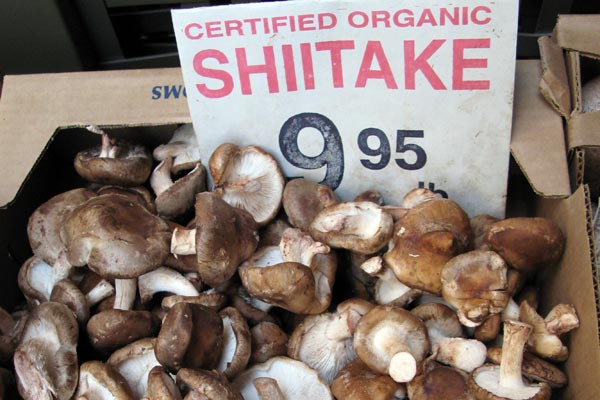 Shiitake