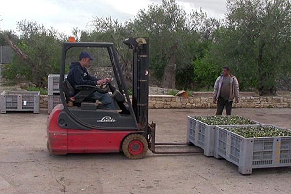 Verladen und wiegen