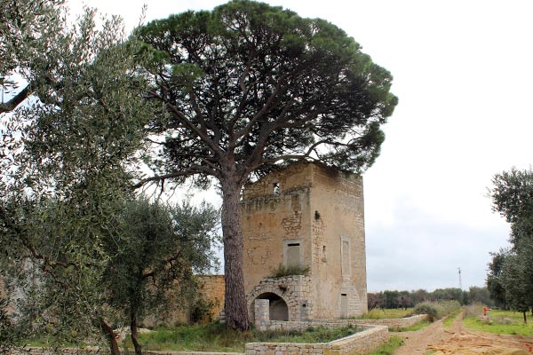 Torre di Mossa