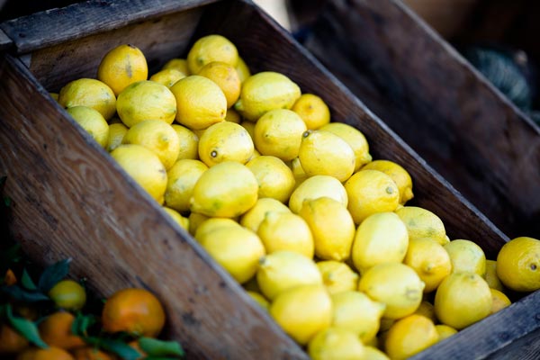 Ester-C, OPC und Citrus Bioflavonoide