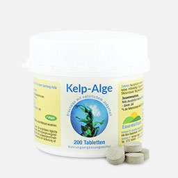 Kelp