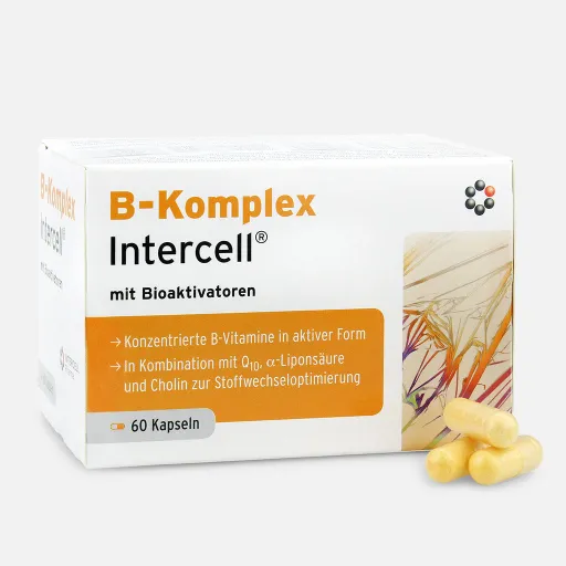 60 Kapseln Vitamin B-Komplex 60 Kapseln Vitamin B-Komplex